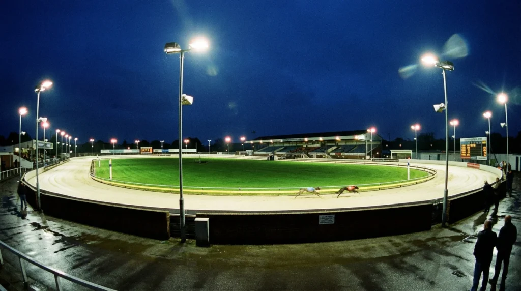 Romford Greyhound Stadium: Betting Guide and Track Profile